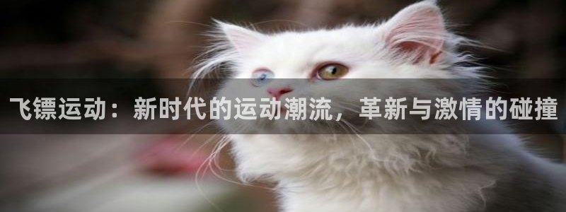 JJB竞技宝官网下载平台注册要钱吗安全吗：飞镖运动：
