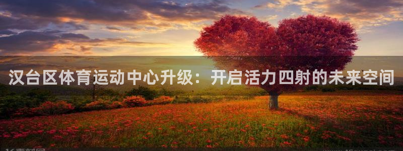 JJB竞技宝官方正版app娱乐首页官网下载：汉台区体育运动中