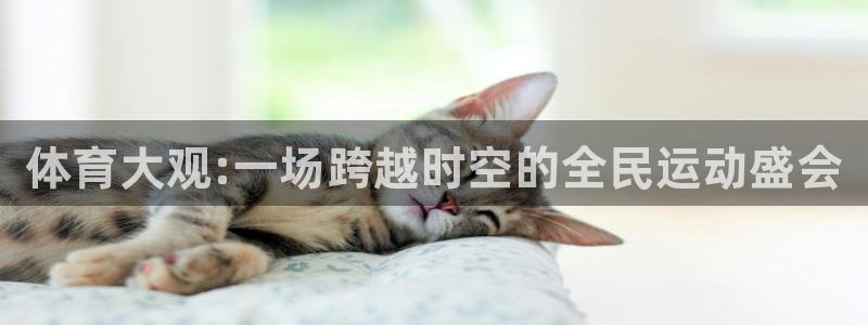 JJB竞技宝官方正版app娱乐首页官网下载