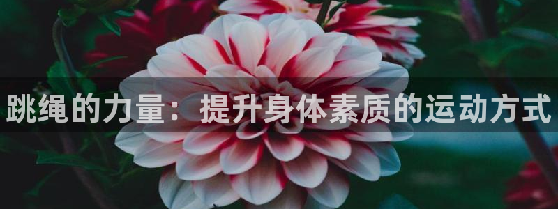 JJB竞技宝官方正版app开户：跳绳的力量：提升身体素质的运