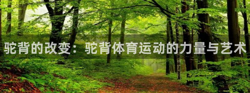 JJB竞技宝官网下载招商电话号码是多少号