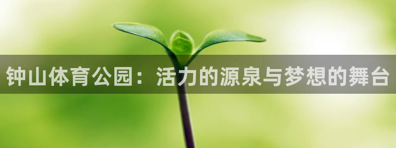 JJB竞技宝官网下载招商电话地址查询：钟山体育公园：活力的源