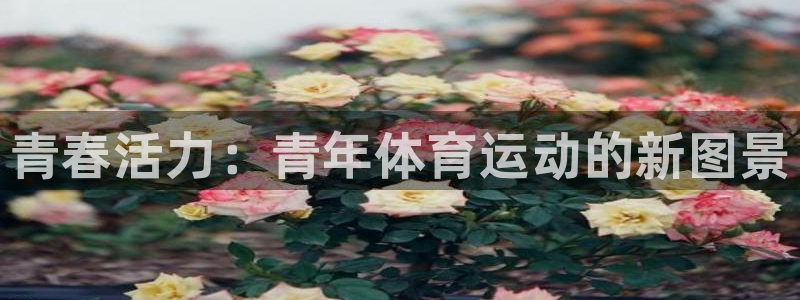JJB竞技宝官方正版app科技：青春活力：青年体育运