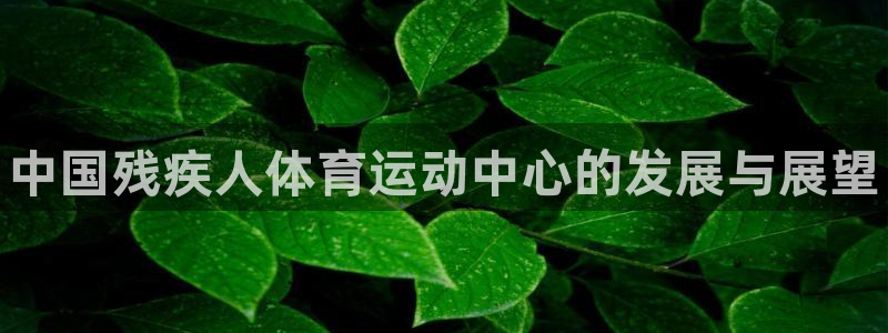 JJB竞技宝官网下载软件：中国残疾人体育运动中心的发