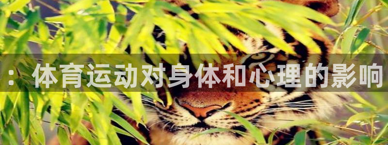 JJB竞技宝官网下载：：体育运动对身体和心理的影响
