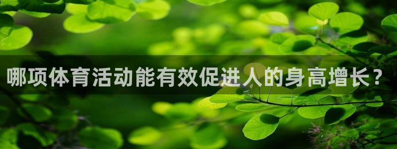 JJB竞技宝官网下载平台是正规平台吗安全吗：哪项体育