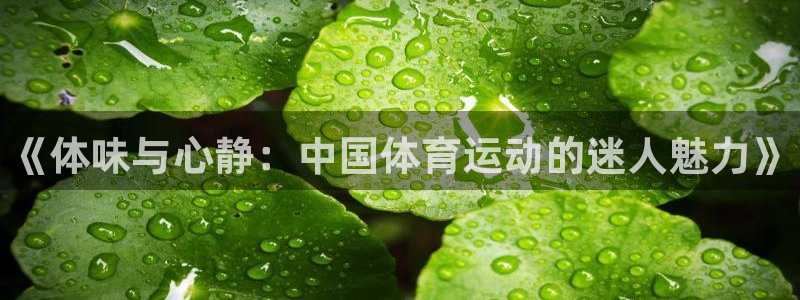 JJB竞技宝官网下载娱乐