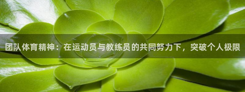 JJB竞技宝官网下载是干嘛的公司：团队体育精神：在运