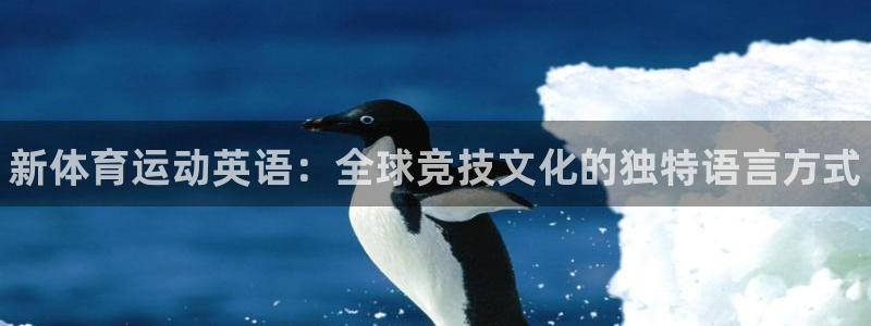 JJB竞技宝官网下载：新体育运动英语：全球竞技文化的独特语言