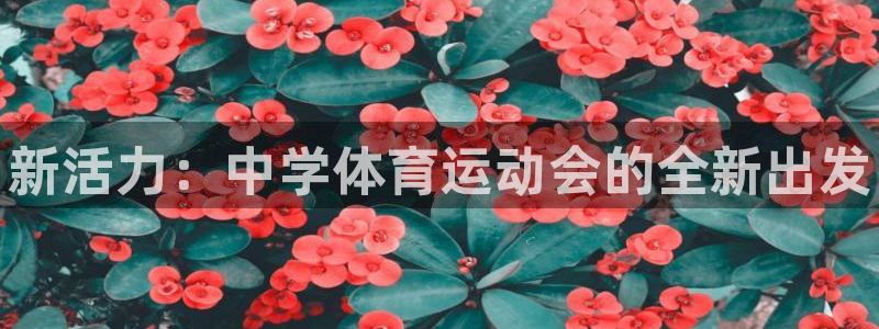 JJB竞技宝官方正版app娱乐平台：新活力：中学体育运动会的