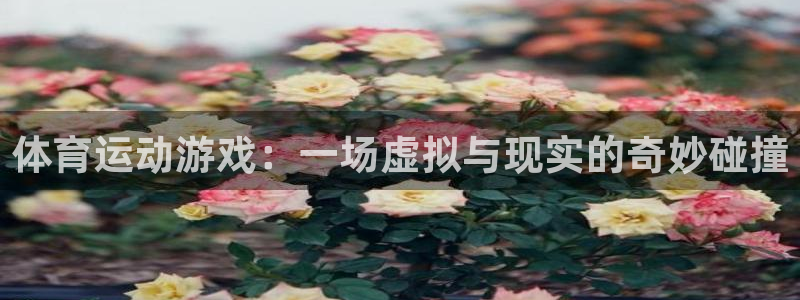 JJB竞技宝官方正版app娱乐首页官网下载：体育运动游戏：一