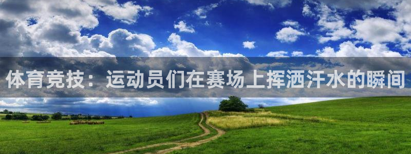 JJB竞技宝官网下载官方客服电话：体育竞技：运动员们在赛场上