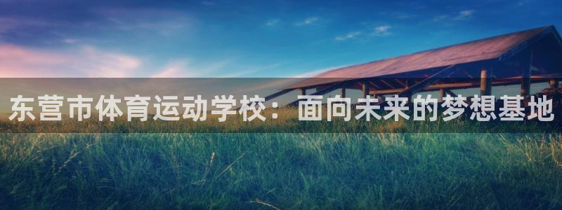 JJB竞技宝官网下载平台注册要钱吗：东营市体育运动学