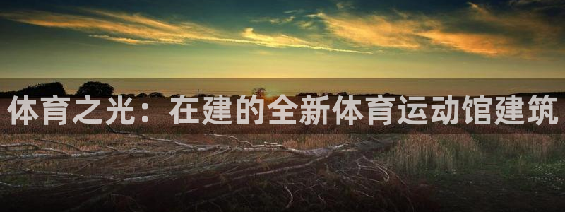 JJB竞技宝官方正版app娱乐代理怎么样：体育之光：