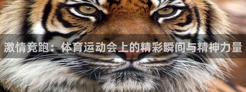 JJB竞技宝官方正版app娱乐首页网站大全：激情竞跑