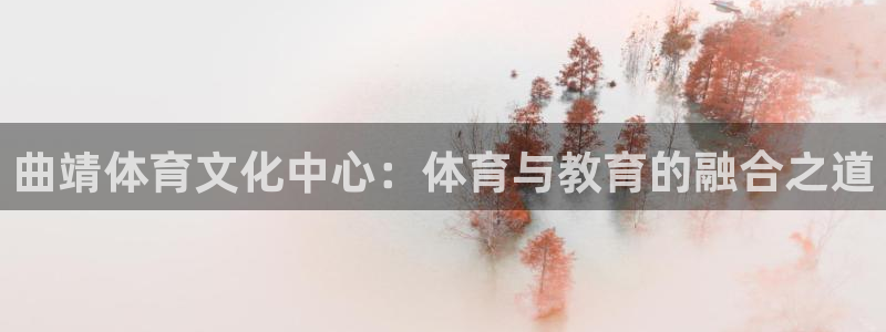 JJB竞技宝官方正版app新能源