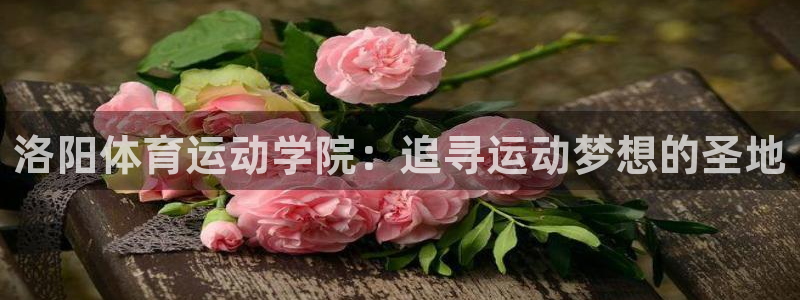 JJB竞技宝官网下载招商电话号码是多少号:洛阳体育运动学院: