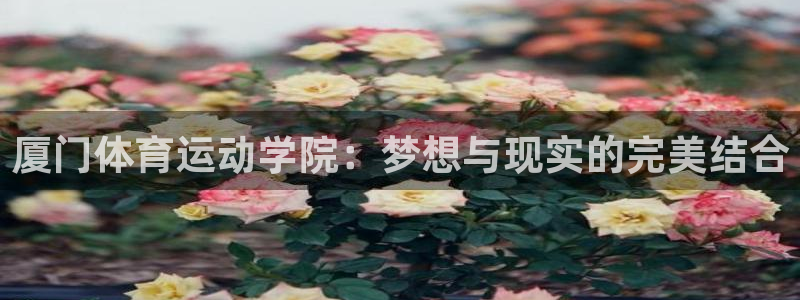 JJB竞技宝官方正版app集团官网首页网址：厦门体育