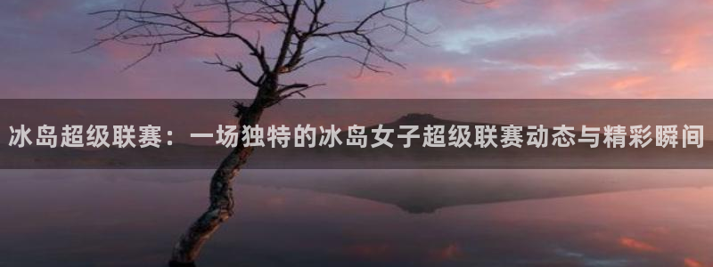 360体育雨燕直播nba：冰岛超级联赛：一场独特的冰岛女子超级联赛动态与精彩瞬间