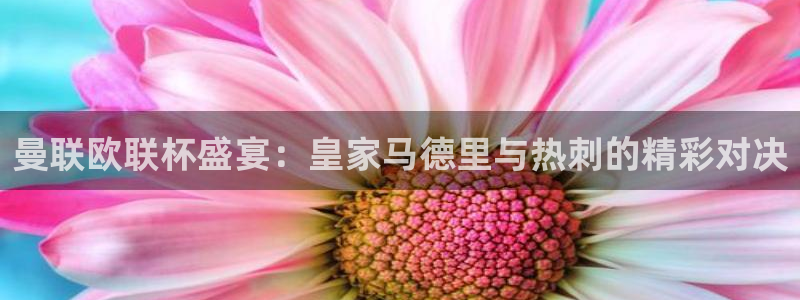 360篮球直播赛事：曼联欧联杯盛宴：皇家马德里与热刺的精彩对决