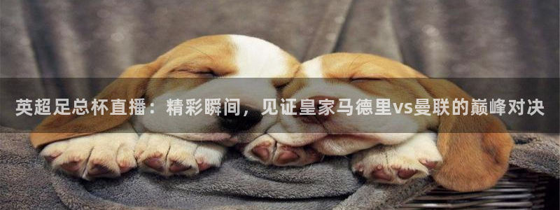雨燕360体育直播故障解决：英超足总杯直播：精彩瞬间，见证皇家马德里vs曼联的巅峰对决
