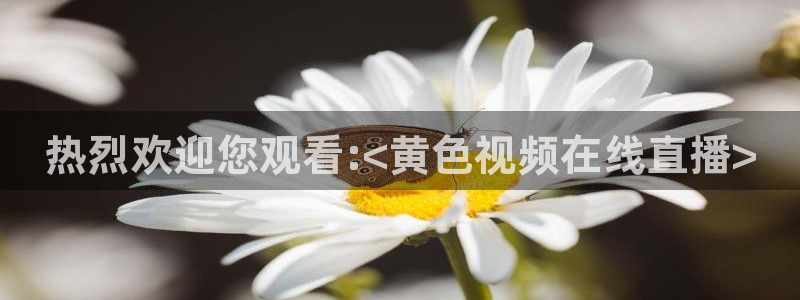360高清足球直播：热烈欢迎您观看:<黄色视频在线直播>