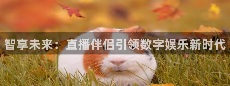 360直播雨燕：智享未来：直播伴侣引领数字娱乐新时代