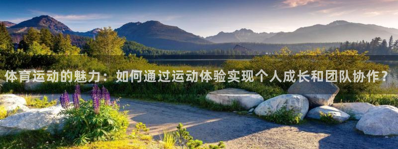 JJB竞技宝官网下载软件：体育运动的魅力：如何通过运动体验实