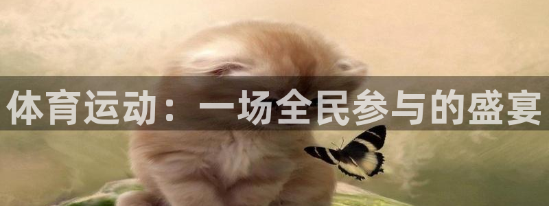 JJB竞技宝官网下载平台注册要钱吗：体育运动：一场全民参与的