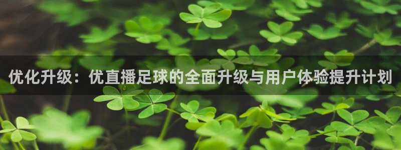 360足球直播视频雨燕直播