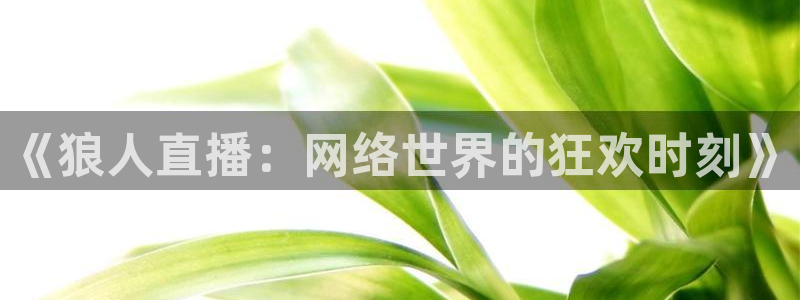 360雨燕免费直播足球比赛：《狼人直播：网络世界的狂欢时刻》