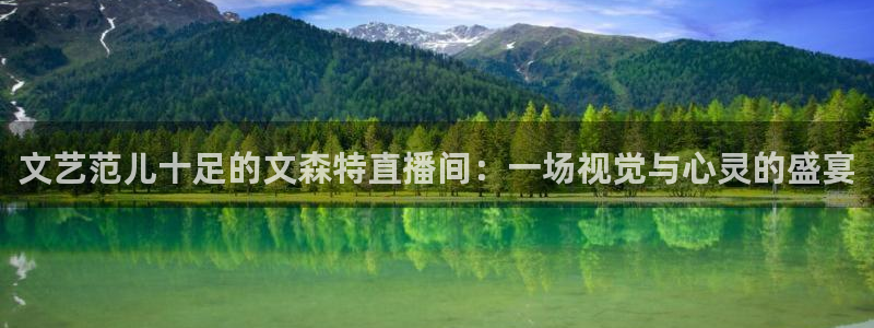 360体育赛事直播免费观看：文艺范儿十足的文森特直播间：一场视觉与心灵的盛宴