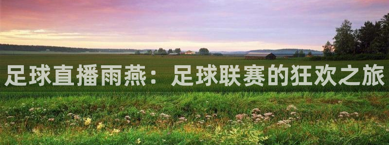 360足球直播视频在线直播观看免费：足球直播雨燕：足球联赛的狂欢之旅