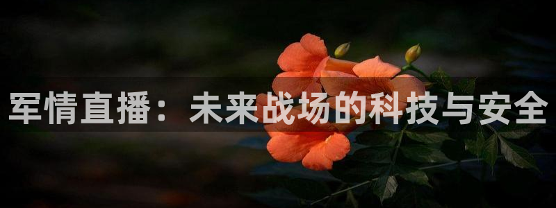 风云足球360在线直播高清：军情直播：未来战场的科技与安全
